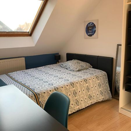 Duplex Du Lion Apartment Belfort Ngoại thất bức ảnh