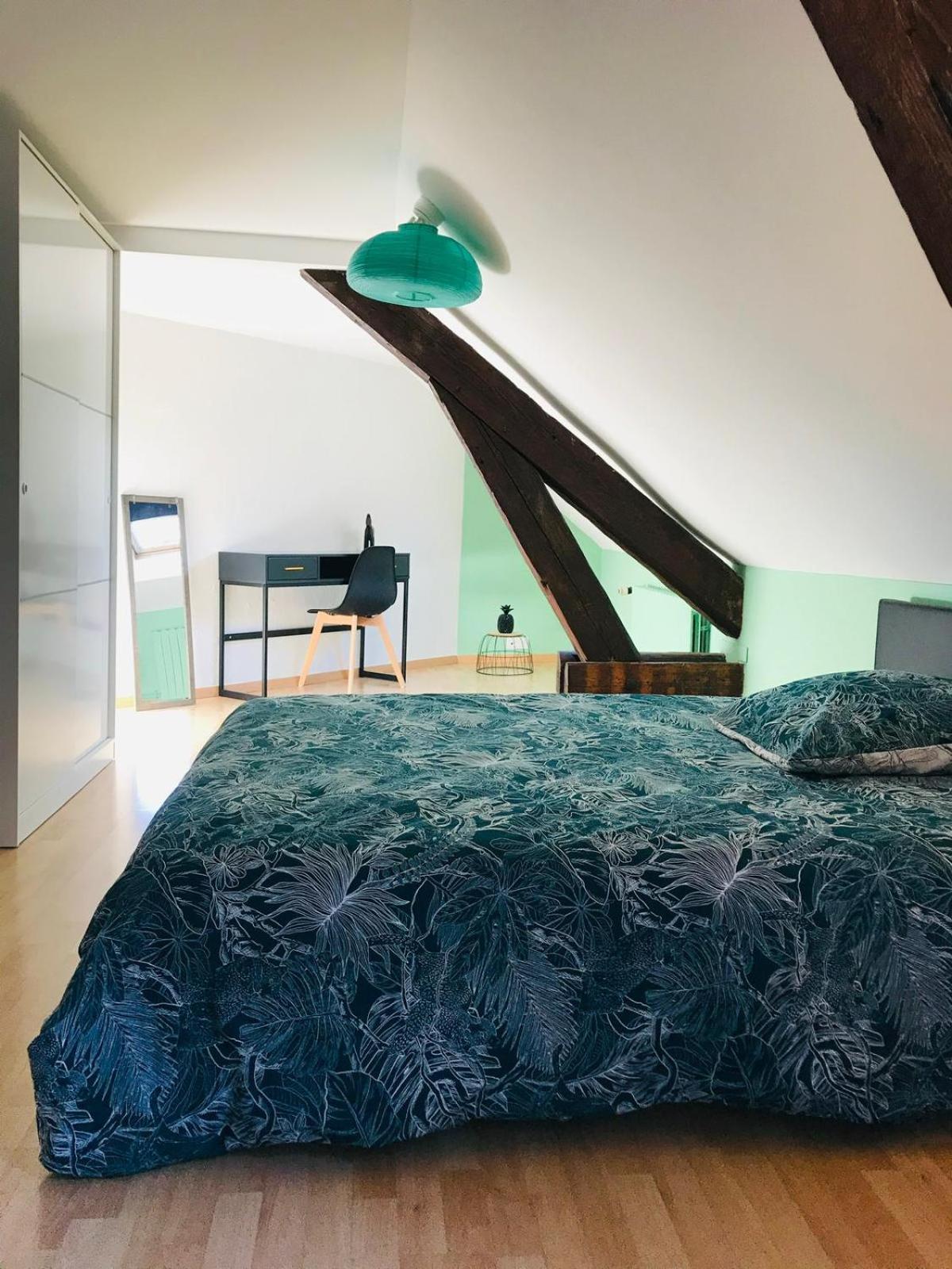 Duplex Du Lion Apartment Belfort Ngoại thất bức ảnh